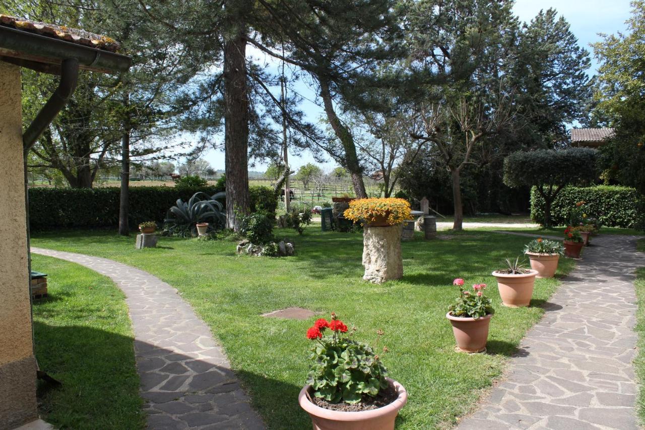 مونتيميرانو Agriturismo Il Capannone المظهر الخارجي الصورة