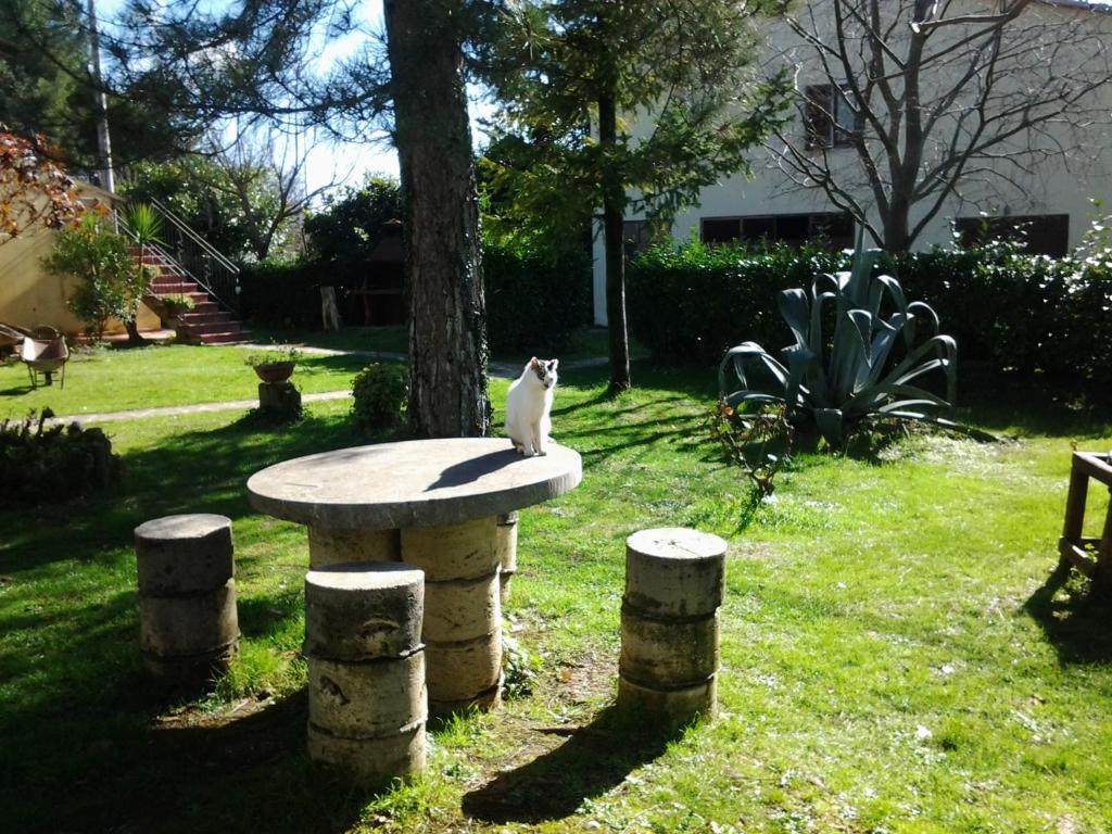 مونتيميرانو Agriturismo Il Capannone المظهر الخارجي الصورة