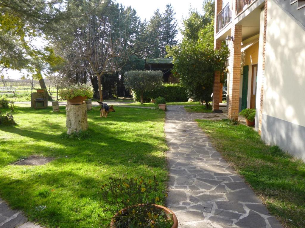 مونتيميرانو Agriturismo Il Capannone المظهر الخارجي الصورة